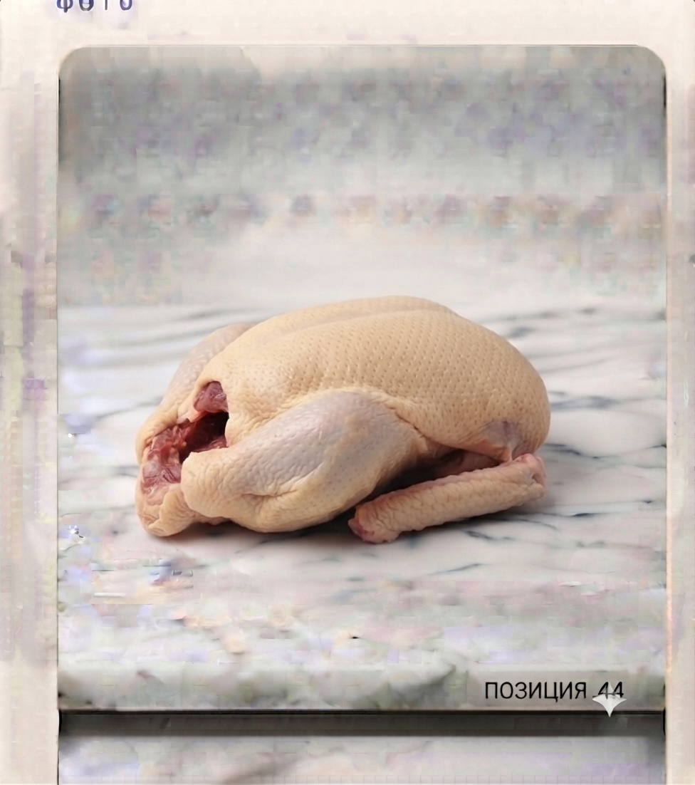 УТКА ЦЕЛАЯ